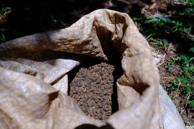 Kaffeekirschen Dünger Nebenprodukt Abfallprodukt